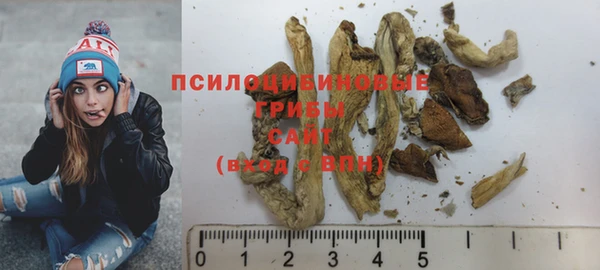 МДПВ Навашино