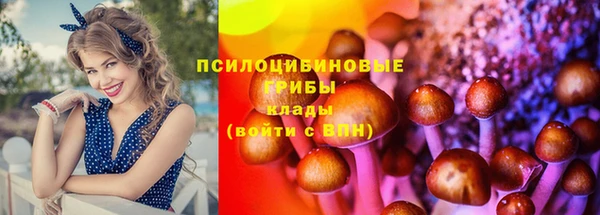 мет Михайлов