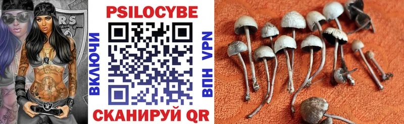 Псилоцибиновые грибы Magic Shrooms  Купить закладки  Козельск 