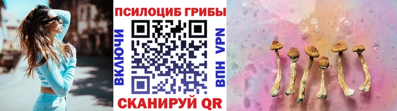 Псилоцибиновые грибы прущие грибы Козельск